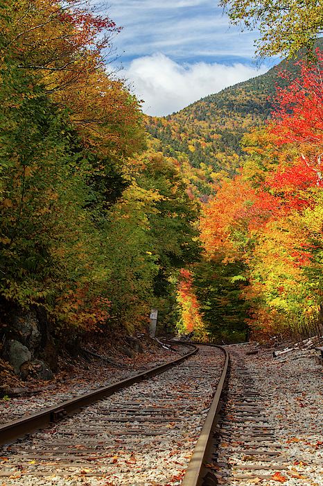 On the Right Track by Cliff Wassmann On the Right Track by Cliff Wassmann
